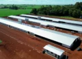 MBRF e Governo do Paraná anunciam investimento de R$ 375 milhões