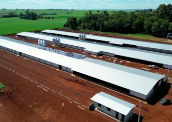 MBRF e Governo do Paraná anunciam investimento de R$ 375 milhões