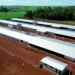 MBRF e Governo do Paraná anunciam investimento de R$ 375 milhões