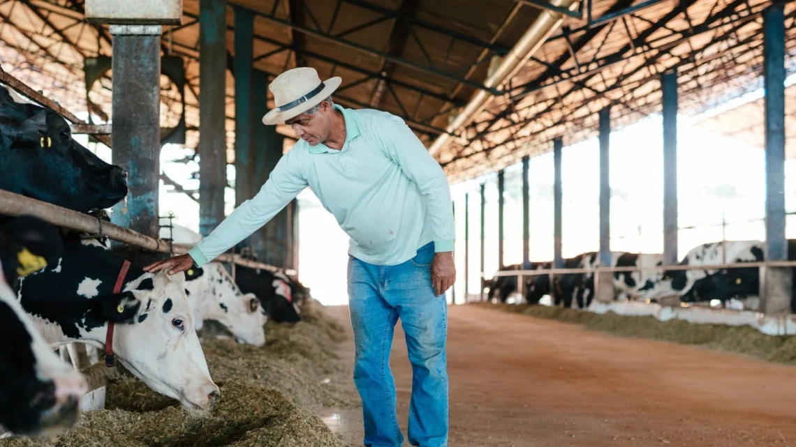 A Nestlé é pioneira na implementação de práticas de bem-estar animal a campo e tem reforçado seu foco no assunto anualmente
/ Divulgação Nestlé