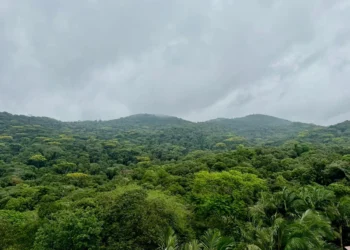 Edital destina R$ 3,2 milhões a projetos de avaliação ambiental no litoral do Paraná