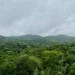 Edital destina R$ 3,2 milhões a projetos de avaliação ambiental no litoral do Paraná