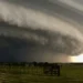 Retorno do El Niño em 2026 ameaça agronegócio com eventos climáticos extremos