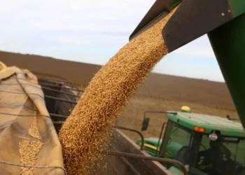 Safra grãos Brasil 25/26: produção recorde com área menor