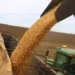 Safra grãos Brasil 25/26: produção recorde com área menor