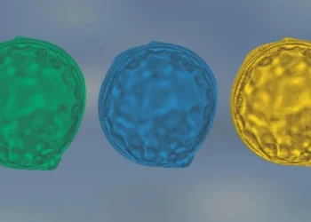 Fertilização in vitro com IA: tecnologia brasileira