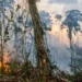 Instituto Clima e Sociedade abre edital de R$ 2,5 milhões para pesquisas sobre clima e economia