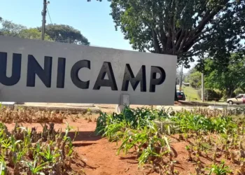 Unicamp e USP lideram ranking de universidades mais empreendedoras do Brasil