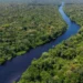 Plataforma global propõe zerar desmatamento