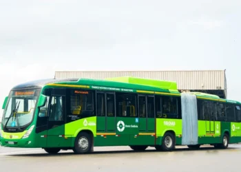 EcoGeo investe R$ 140 milhões em usina de biometano em Goiás