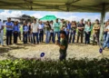 Biossolução sinérgica chega ao Brasil para maximizar uso de fertilizantes