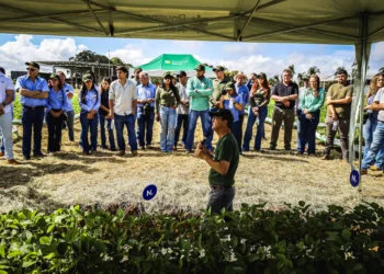Biossolução sinérgica chega ao Brasil para maximizar uso de fertilizantes
