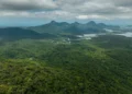 Mater Natura e ICMBio firmam parceria para restauração no Parque Nacional de Saint-Hilaire