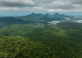 Mater Natura e ICMBio firmam parceria para restauração no Parque Nacional de Saint-Hilaire