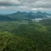 Mater Natura e ICMBio firmam parceria para restauração no Parque Nacional de Saint-Hilaire