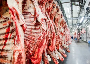 Abiec alerta para risco sobre até 40% das exportações brasileiras de carne bovina