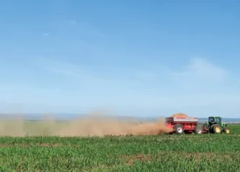 Conflito no Golfo pressiona fertilizantes e alimentos