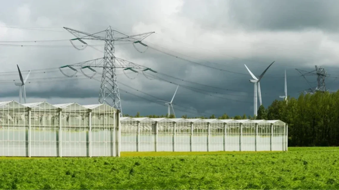 Armazenamento de energia: tecnologias como UHRs e baterias disputam espaço com foco em custo e escala. Foto: Divulgação