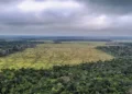 Governo retoma debates sobre Plano do Clima