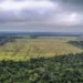 Governo retoma debates sobre Plano do Clima