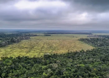 Emissões caem em 2024, mas meta climática segue em risco