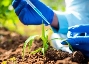 Mercado de biológicos atinge R$ 6,2 bilhões no Brasil