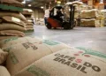 StoneX projeta superávit global de 10 milhões de sacas de café em 2026