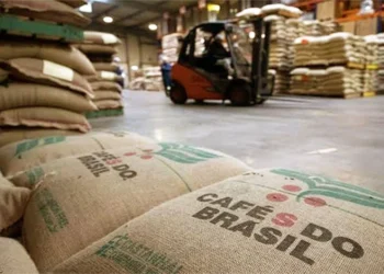 StoneX projeta superávit global de 10 milhões de sacas de café em 2026