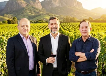 FCJ Group cria Únikko Winery Ventures focada em vinhos e enoturismo de altitude
