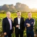 FCJ Group cria Únikko Winery Ventures focada em vinhos e enoturismo de altitude