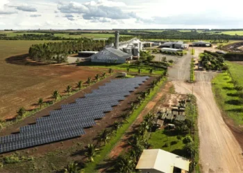 Digitalização aumenta produtividade no agronegócio