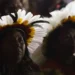 Fundo Amazônia vai premiar projetos de povos tradicionais