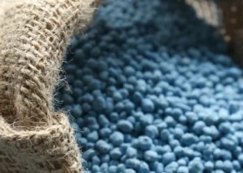 Massari Fértil alerta para riscos da dependência de fertilizantes importados no Brasil