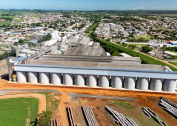 Colheita de grãos de cooperados da Capal alcança 70% da área nesta safra de verão