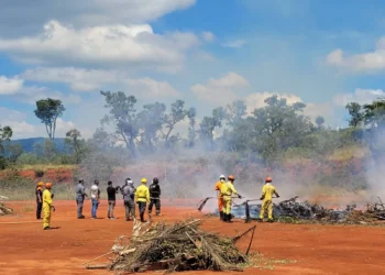 Fundação Florestal mobiliza vagas para brigadistas e investe R$ 19,3 milhões contra incêndios florestais