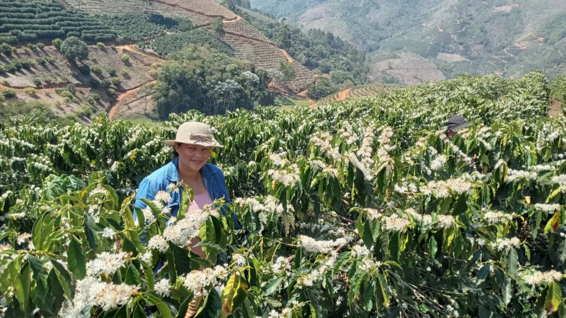 Reinildes divide com toda a família a tarefa da produção de cafés especiais em Manhuaçu
Arquivo pessoal