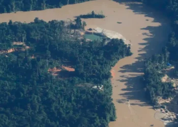 MPF denuncia mineração ilegal na Amazônia à CIDH