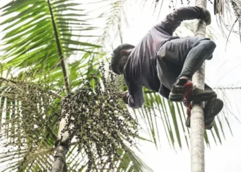 Governo investe R$ 132 milhões na Amazônia