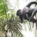 Governo investe R$ 132 milhões na Amazônia