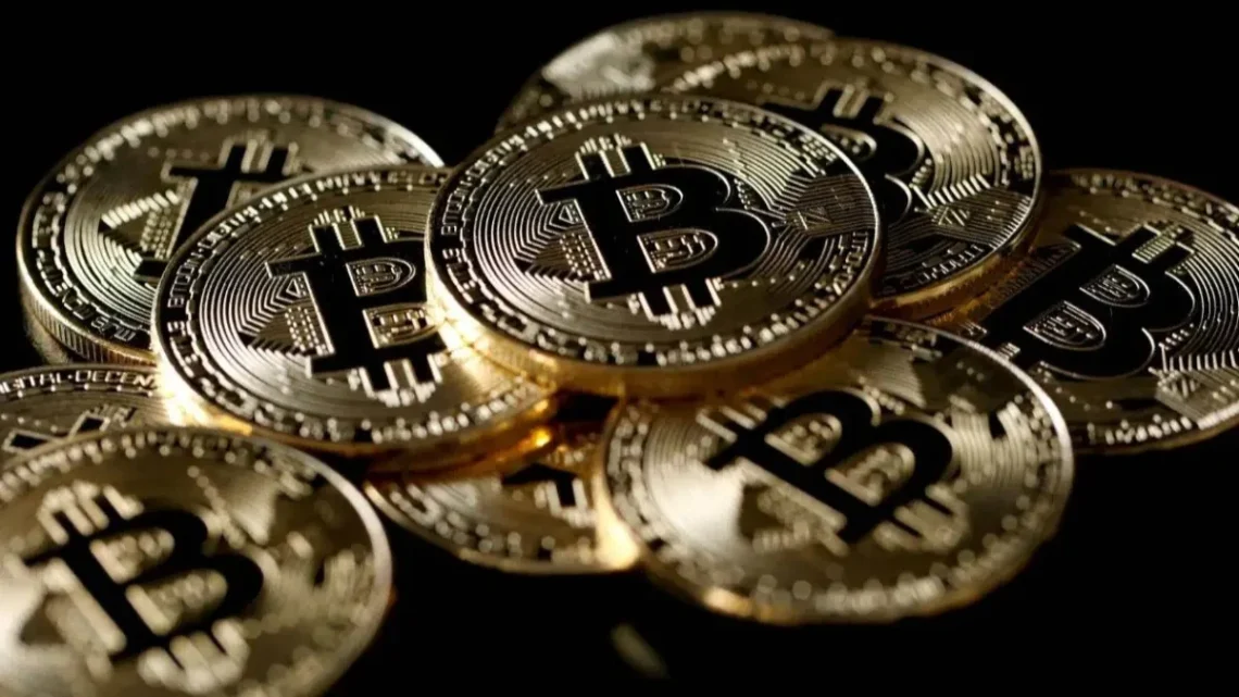 Bitcoin  • Estela Aguia