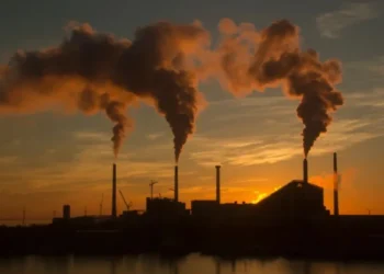 Estudo propõe filtros para crédito de carbono no Brasil