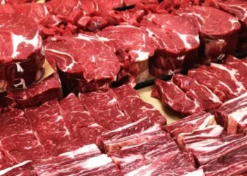 Exportações de carne crescem com pressão nas margens