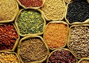USDA aponta mercado de grãos estável no curto prazo e maior influência de fatores externos nos preços