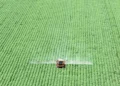 Superávit do agro paulista registra US$ 4,49 bilhões no 1º trimestre de 2026