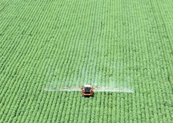 Superávit do agro paulista registra US$ 4,49 bilhões no 1º trimestre de 2026