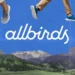 Allbirds deixa mercado de sapatos e vê ação subir 600% com estratégia em IA