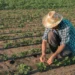 Produtor rural paulista amplia uso de capital próprio e redesenha comportamento no campo, aponta ABMRA