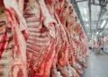 Exportação de carne bovina recua 6,6% em volume em março, mas receita avança