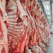 Exportação de carne bovina recua 6,6% em volume em março, mas receita avança