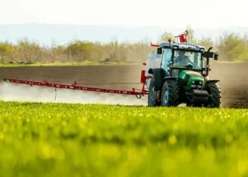 Governo estuda crédito para fertilizantes no Plano Safra
